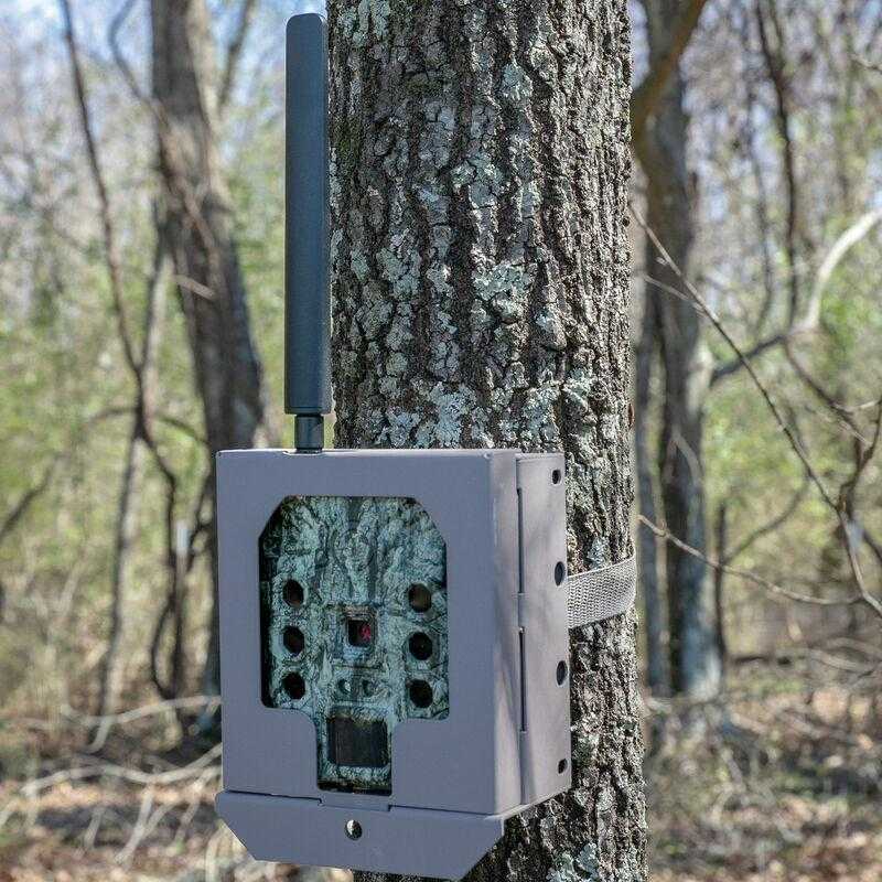 Bushnell Camera Security Box For (Cellular) CelluCore Models SD - Tan
